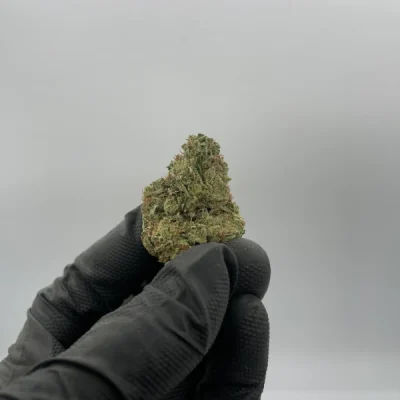 Sour Diesel