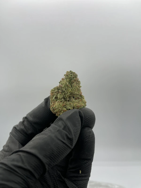 Sour Diesel