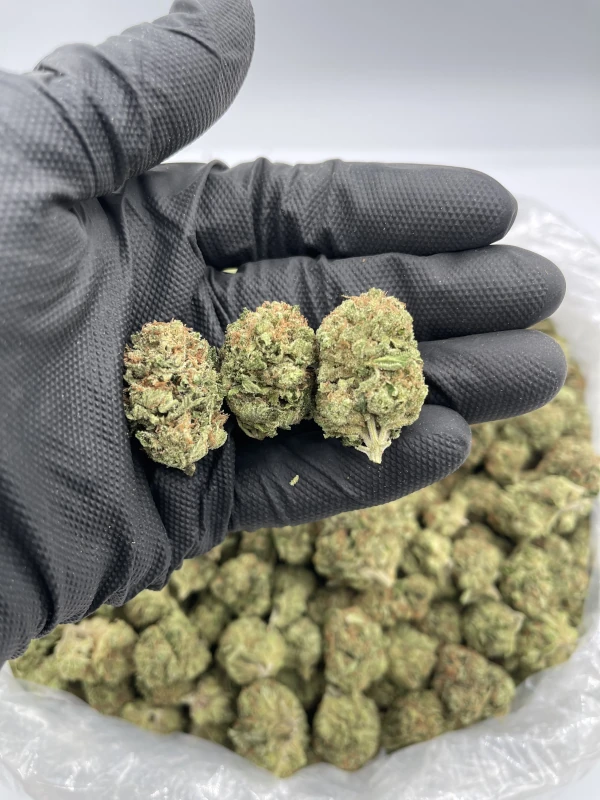 Sour Diesel - Image 2