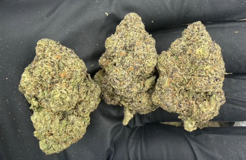 Banana Sherbert - Image 2