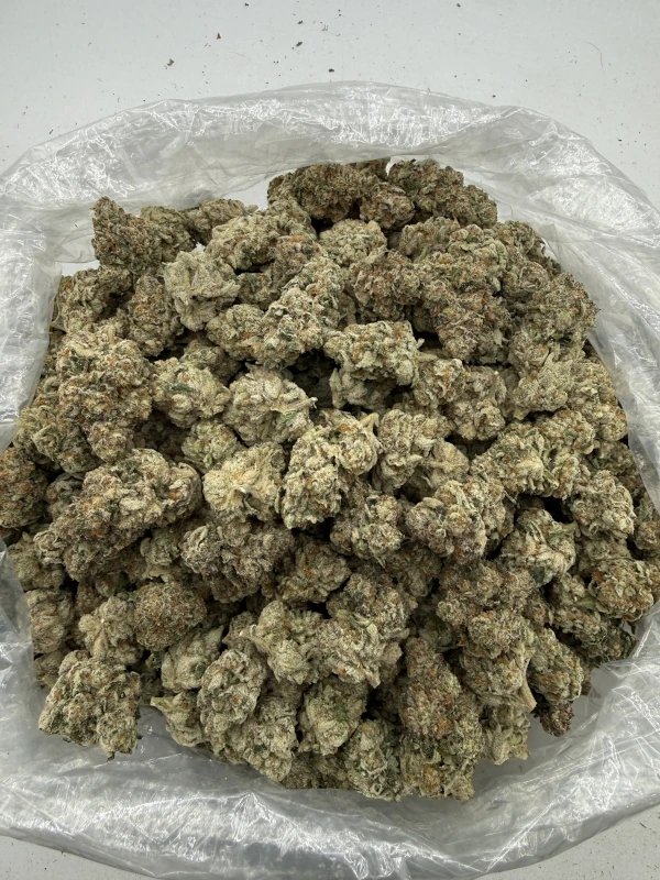 Rainbow Blast - Image 3