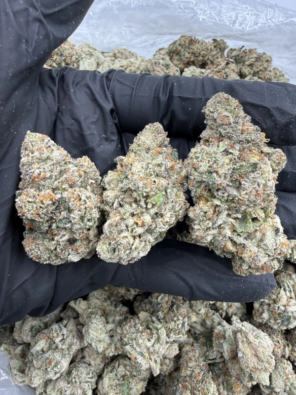 Rainbow Blast - Image 2