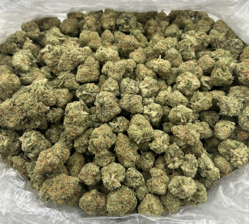 Blue Skittlez - Image 3