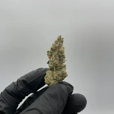 Peanut Butter Breath