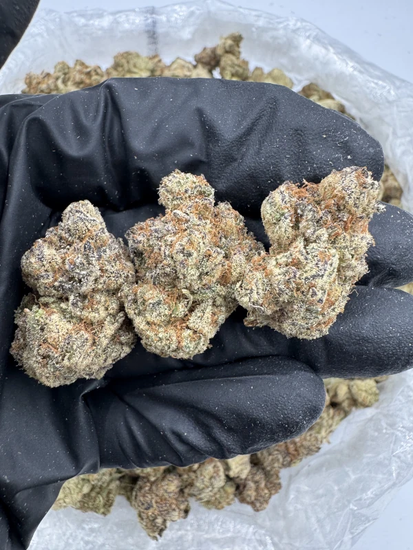 Monster Cookies - Image 2