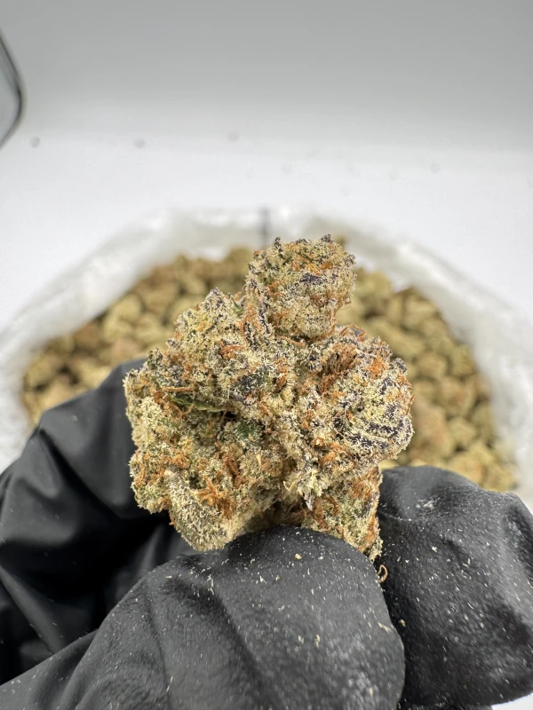 Monster Cookies