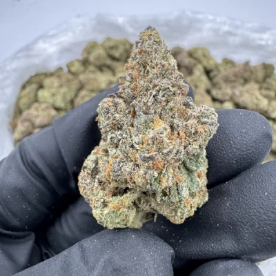 Blueberry Caviar