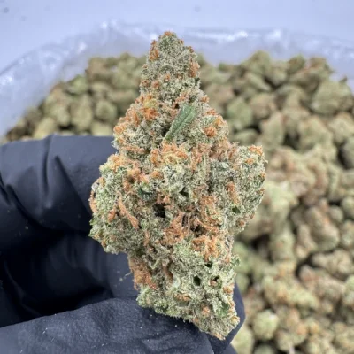 Jack The Ripper