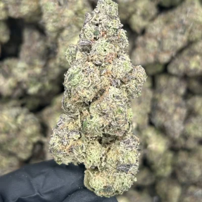 Hash Burger