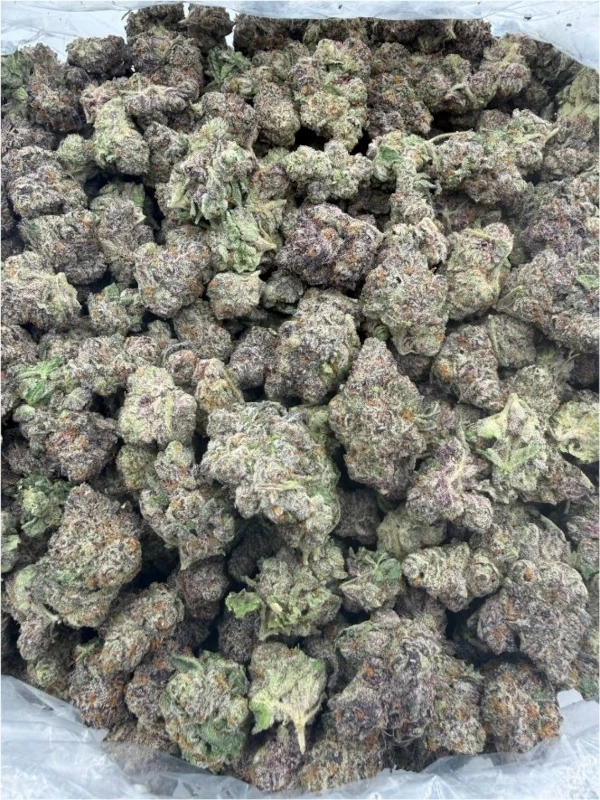 Eye Candy - Image 3