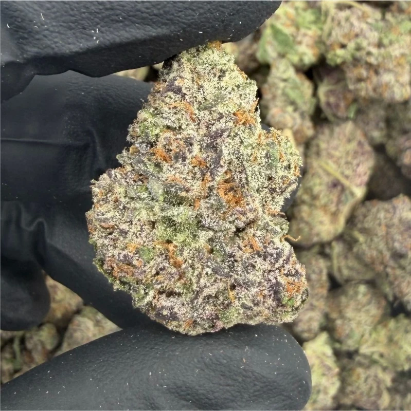 Eye Candy